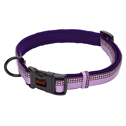 HALTI Komforthalsband - Hundehalsband mit Neoprenpolsterung, 3M-Reflektorgewebe und verstellbarer Riemen. Geeignet für kleine Hunde und Welpen (Größe S, Lila) von Company of Animals