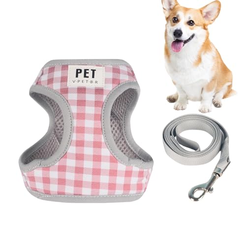Haustierwestengeschirr, Hundegeschirr mit einziehbaren Leinen | Hundewestengeschirr verstellbar - Hundeauslaufgerät aus Polyestergewebe, drehbares Schnallendesign, Netzdesign auf der Rückseite, Haustierwestengeschirr, Hundegeschirr mit einziehbaren Leinen | Hundewestengeschirr verstellbar - Hundeauslaufgerät aus Polyestergewebe, drehbares Schnallendesign, Netzdesign auf der Rückseite, von HAMIL
