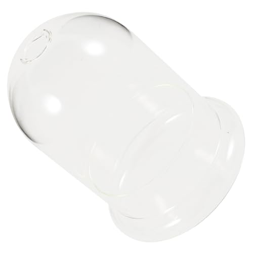 HAMPPLIES Pflanzenterrarium aus Dekorative Mikro Landschaftsvase Wassersparende Ökologische Flasche für Tischdeko und Büro Geeignet für Hochzeitsarrangements und HAMPPLIES Pflanzenterrarium aus Dekorative Mikro Landschaftsvase Wassersparende Ökologische Flasche für Tischdeko und Büro Geeignet für Hochzeitsarrangements und von HAMPPLIES