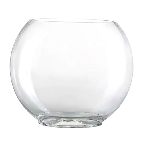 HAMPPLIES Transparenter Fischbehälter Ökologische Vase für Blumen und Wasserpflanzen Dickwandiges Rundes Terrarium für Büro Wohnzimmer und Shop Dekoration von HAMPPLIES