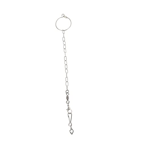HANABASS 1satz Edelstahl Fußring Für Vögel Sicherer Fußschmuck Für Papageien Und Sittiche Teiliges Mit Verstellbarer Kette Für Käfige Und Outdoor-aktivitäten HANABASS 1satz Edelstahl Fußring Für Vögel Sicherer Fußschmuck Für Papageien Und Sittiche Teiliges Mit Verstellbarer Kette Für Käfige Und Outdoor-aktivitäten von HANABASS