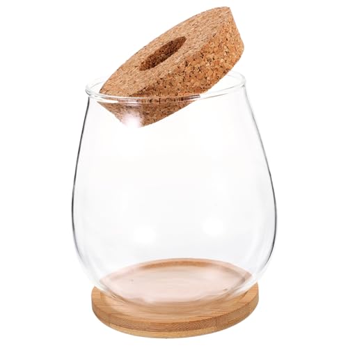 HANABASS 1satz Zarter Terrarium-glasvase Mit Bambusunterlage Transparenter Pflanzer Für Moos Blumen Und -landschaften Für Innen Und Außendekoration von HANABASS