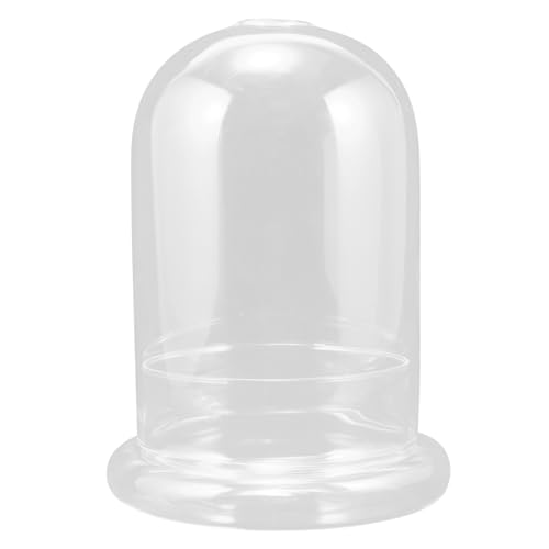 HANABASS 1 Set Glasabdeckungsdekoration Künstliche Pflanzen Zur Dekoration Blumendekorationen Für Den Innenbereich Pflanzenwanddekoration Natürliche Knospenkuppel HANABASS 1 Set Glasabdeckungsdekoration Künstliche Pflanzen Zur Dekoration Blumendekorationen Für Den Innenbereich Pflanzenwanddekoration Natürliche Knospenkuppel von HANABASS