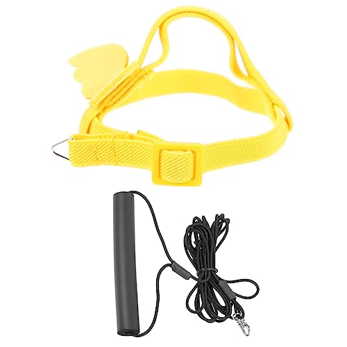 HANABASS 1 Set Outdoor Flying Seil Vogel Training Leine Pet Vogel Fliege Leine Papagei Fliegendes Leinen Kit Bird Birness HANABASS 1 Set Outdoor Flying Seil Vogel Training Leine Pet Vogel Fliege Leine Papagei Fliegendes Leinen Kit Bird Birness von HANABASS