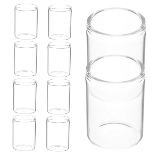 HANABASS 10 Stück Mini Sukkulente Glasflasche Moos Mikrolandschaftsglas Glas Ökologische Mikrolandschaftsflasche Pflanzgefäße Für Terrarien Moos Pflanzer Pot Transparent von HANABASS