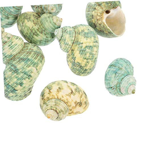 HANABASS 10 Stück Teiliges Natürliche Meeresschnecken Aquarium Dekoration Langlebige Fischbecken Ornamente für Haus und Büro mit Lebensechtem Design HANABASS 10 Stück Teiliges Natürliche Meeresschnecken Aquarium Dekoration Langlebige Fischbecken Ornamente für Haus und Büro mit Lebensechtem Design von HANABASS
