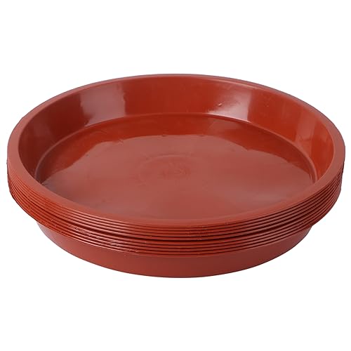 HANABASS 10 Stück Unterteller für Blumentöpfe Material und Langlebig Passend für Sukkulenten und Kleine Pflanzen für Garten HANABASS 10 Stück Unterteller für Blumentöpfe Material und Langlebig Passend für Sukkulenten und Kleine Pflanzen für Garten von HANABASS