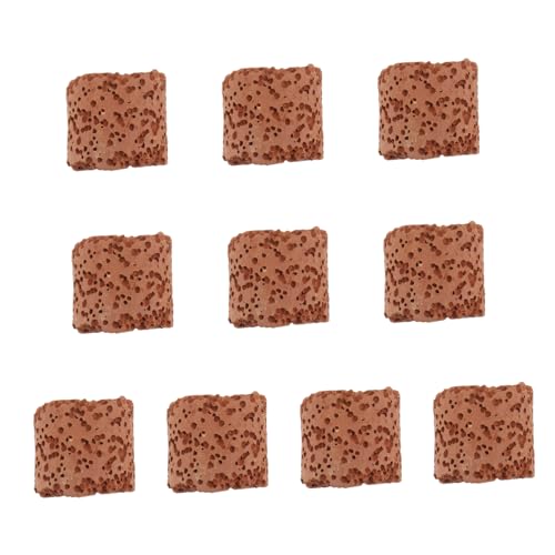 HANABASS 10St Wasserpflanzgefäße für Aquarien automatisch Tank Borste Klammer Pflanzen Fix wasserpflanzen Aquarium Werkzeug Pflanzenständer für Aquarien Aquarientöpfe Aquariumtopf HANABASS 10St Wasserpflanzgefäße für Aquarien automatisch Tank Borste Klammer Pflanzen Fix wasserpflanzen Aquarium Werkzeug Pflanzenständer für Aquarien Aquarientöpfe Aquariumtopf von HANABASS