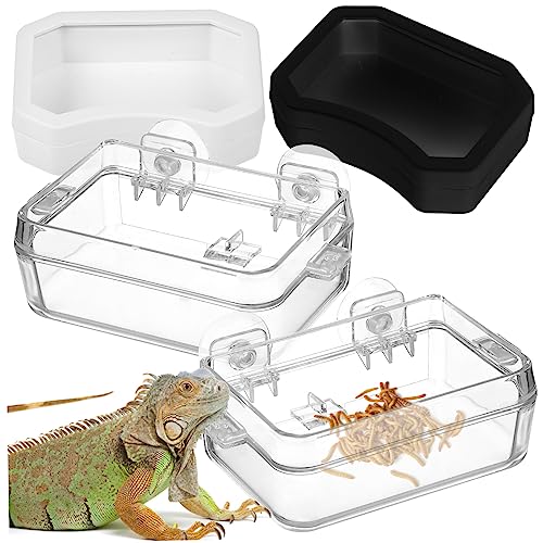 HANABASS 2 Stück Futterutensilien Und Wasserbecken Tierfutterspender Für Reptilien Futternapf Für Reptilien Futternapf Für Reptilien Chamäleonschale Reptilien Fluchtschale Reptilien HANABASS 2 Stück Futterutensilien Und Wasserbecken Tierfutterspender Für Reptilien Futternapf Für Reptilien Futternapf Für Reptilien Chamäleonschale Reptilien Fluchtschale Reptilien von HANABASS
