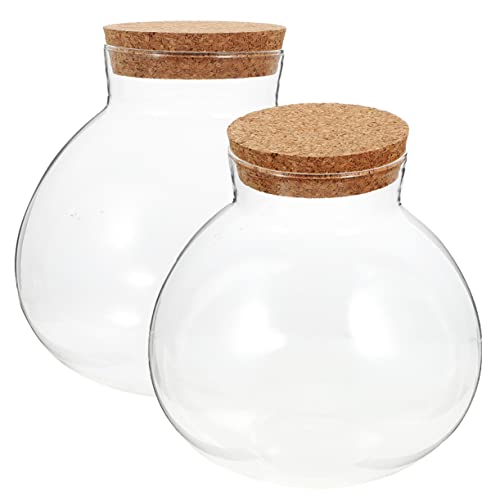 HANABASS 2 Stück Korkdeckel Glasflasche für Pflanzen Sphärisches Terrarium für Mikrolandschaften Vielseitiges Glasgefäß zur Dekoration und Aufzucht von Moos und Sukkulenten von HANABASS