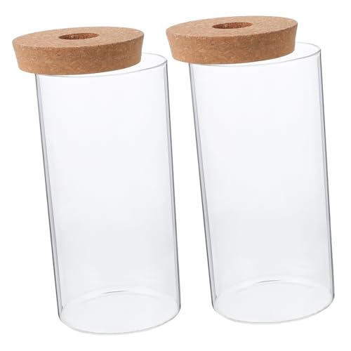 HANABASS 2 Stück Öko-Flasche aus Glas Terrarium Terrarienflasche dekoratives Glasgefäß Tisch-Pflanzgefäß aus Glas Moos-Landschaftsbauflasche DIY-Mikrolandschaftsflasche Transparent von HANABASS