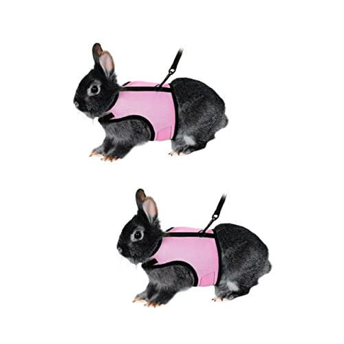 HANABASS 2St Hasengeschirr klein Haustierleine Guinea Kleidung Chinchilla-Träger Gehgeschirr für Haustiere Hasenriemen Hasen Spielzeug kaninchenspielzeuge Kaninchengeschirr und Leine Rosa von HANABASS