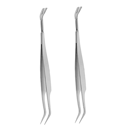 HANABASS 2Stücke Zeckenpinzette für Haustiere Ergonomische Handheld zur Haarreinigung und Entfernung von Silber HANABASS 2Stücke Zeckenpinzette für Haustiere Ergonomische Handheld zur Haarreinigung und Entfernung von Silber von HANABASS