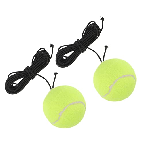 HANABASS 2stücke Tennisbälle Für Hunde Trainingsspielzeug Für Haustiere Zum Spielen Und Trainieren Für Indoor Und Outdoor Aktivitäten von HANABASS