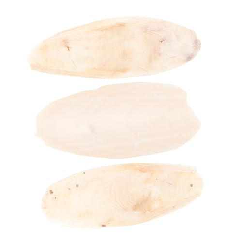 HANABASS 3 Stück Papagei Kauspielzeug aus Sepiaschale Hängendes Kalziumspielzeug für Vögel Kaumolaren für Wellensittiche Nymphensittiche und Andere Kleintiere Beige HANABASS 3 Stück Papagei Kauspielzeug aus Sepiaschale Hängendes Kalziumspielzeug für Vögel Kaumolaren für Wellensittiche Nymphensittiche und Andere Kleintiere Beige von HANABASS