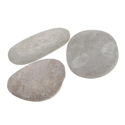 HANABASS Ruheplattform-Set Für Schildkröten Reptilien-sonnensteine Schildkrötenkiesel Schildkrötenbecken-Dekoration Flach Für Schildkrötenlebensraum Zufällige Farbe HANABASS Ruheplattform-Set Für Schildkröten Reptilien-sonnensteine Schildkrötenkiesel Schildkrötenbecken-Dekoration Flach Für Schildkrötenlebensraum Zufällige Farbe von HANABASS