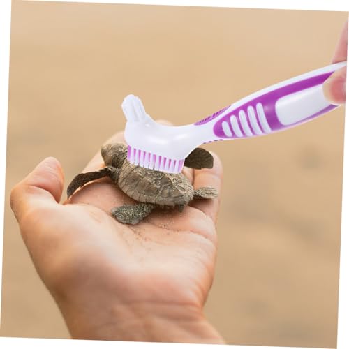 HANABASS 3 Stück Schildkrötenpanzer Reinigungsbürsten aus Robustem Abs Flexible Dichte Borsten für Gründliche Reinigung von Schildkrötenpanzern und Aquarien Ergonomische Griffe Langlebig von HANABASS