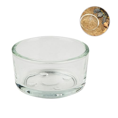 HANABASS 4stücke Futterschale Für Reptilien Glasbecher Für Futter Und Wasser Reptilienfutterspender Multifunktional Langlebig Einfach Zu Reinigen von HANABASS