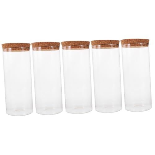 HANABASS 5 Stück Hydroponisches Terrarium Glasvase für Moos und Pflanzen Transparent mit Korkdeckel für Innendekoration und Arrangements HANABASS 5 Stück Hydroponisches Terrarium Glasvase für Moos und Pflanzen Transparent mit Korkdeckel für Innendekoration und Arrangements von HANABASS
