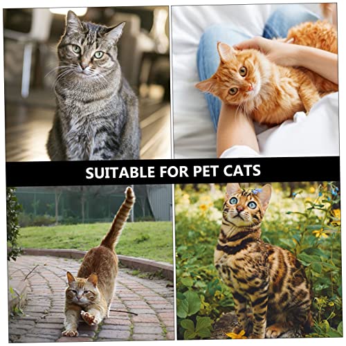HANABASS 5 Stück Teiliges Katzenspielzeug Interaktive Katzenangel mit Bunten Quasten Stimuliert und Bewegung Vielseitiges Haustier Zubehör für Katzen Fördert Fitness und Bindung HANABASS 5 Stück Teiliges Katzenspielzeug Interaktive Katzenangel mit Bunten Quasten Stimuliert und Bewegung Vielseitiges Haustier Zubehör für Katzen Fördert Fitness und Bindung von HANABASS