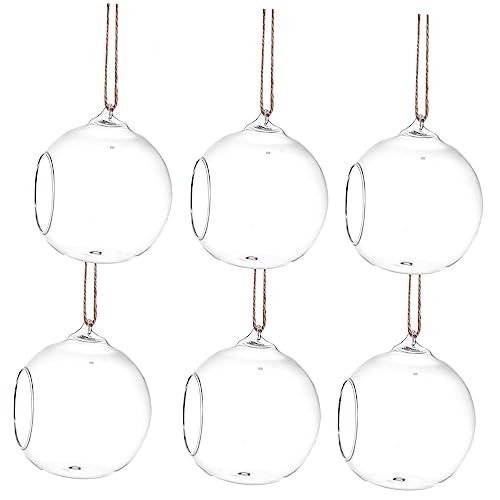 HANABASS 6 Stück Teiliges Terrarium Hängend Hydroponische Pflanzenhalter für Dekoration für Wohnzimmer und Aufhängeseil für Pflanzen HANABASS 6 Stück Teiliges Terrarium Hängend Hydroponische Pflanzenhalter für Dekoration für Wohnzimmer und Aufhängeseil für Pflanzen von HANABASS