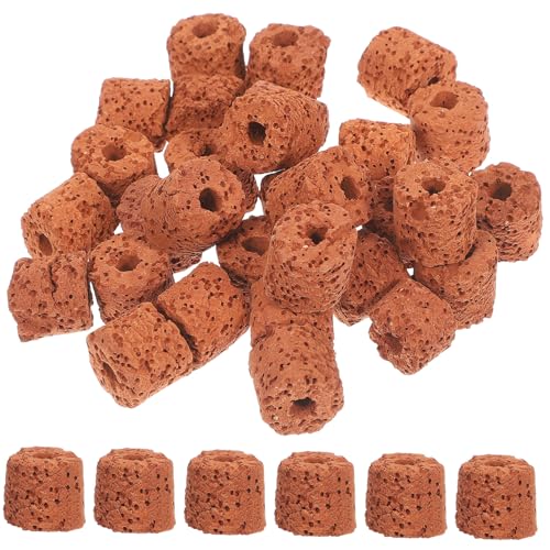 HANABASS 60 STK Aquatischer Pflanzring Biofilter für Aquarien Halterung für Wasserpflanzen Aquarienpflanzen Gewichtsring Wasserpflanzen Fixierring Ringe Aquarium Schwerkraftring Pflanzen HANABASS 60 STK Aquatischer Pflanzring Biofilter für Aquarien Halterung für Wasserpflanzen Aquarienpflanzen Gewichtsring Wasserpflanzen Fixierring Ringe Aquarium Schwerkraftring Pflanzen von HANABASS