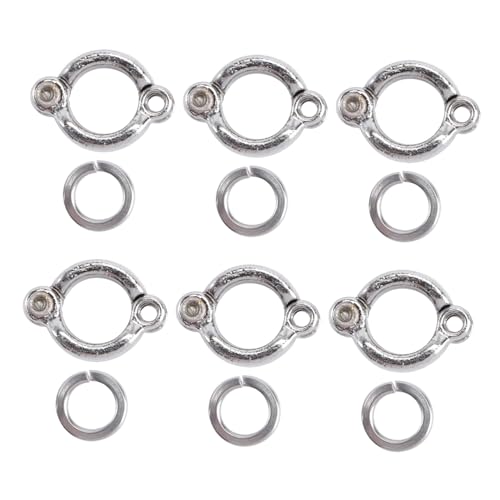 HANABASS 6 Stücke Papagei Fuß Ringe Edelstahl Bein Ringe für Papageien Einfach Installieren Vogel Liefert HANABASS 6 Stücke Papagei Fuß Ringe Edelstahl Bein Ringe für Papageien Einfach Installieren Vogel Liefert von HANABASS
