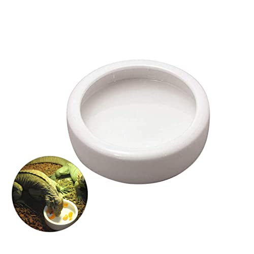 HANABASS Crawler Escape Futterbecken Futternapf für Garnelen Fische Reptilien Rund Rutschfestes Design für Sicheres Füttern HANABASS Crawler Escape Futterbecken Futternapf für Garnelen Fische Reptilien Rund Rutschfestes Design für Sicheres Füttern von HANABASS