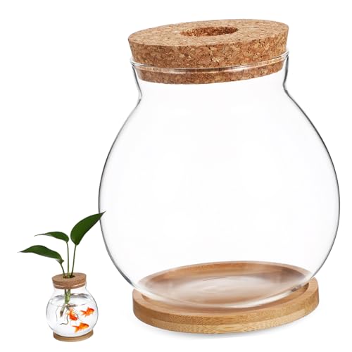 HANABASS Desktop-Fischglas Klares Glas Mini-Fischschalen Klares Hydrokultur-Pflanzen-Terrarium Für Betta-Fischpflanzen Terrarium Heimbüro-Dekoration HANABASS Desktop-Fischglas Klares Glas Mini-Fischschalen Klares Hydrokultur-Pflanzen-Terrarium Für Betta-Fischpflanzen Terrarium Heimbüro-Dekoration von HANABASS
