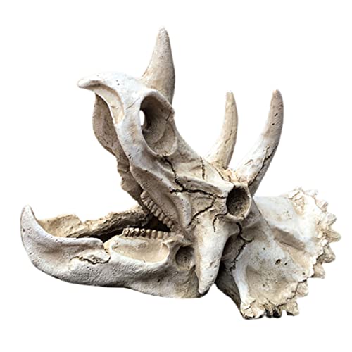HANABASS Fischtank Dinosaurierschädel Dekoration Skelettmodell für Garnelen und Fische Sicheres und Langlebiges Harzmaterial für Natürliche Aquariengestaltung von HANABASS