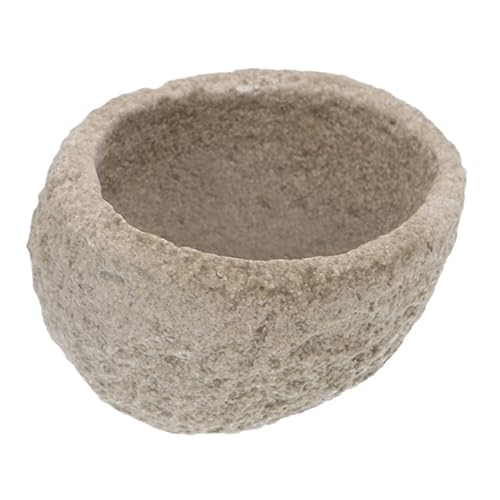 HANABASS Fressnapf Reptilien Schüssel Schlange Futternapf Gecko Haustier Schlüssel Terrarium Wasserschale Wasserspender Für Terrarien Eidechsenbecken Light Grey Harz HANABASS Fressnapf Reptilien Schüssel Schlange Futternapf Gecko Haustier Schlüssel Terrarium Wasserschale Wasserspender Für Terrarien Eidechsenbecken Light Grey Harz von HANABASS