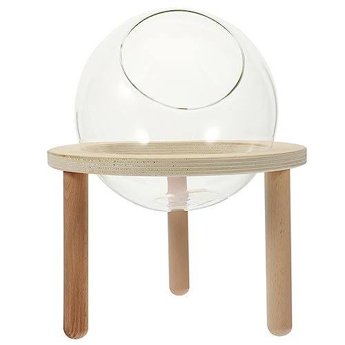 HANABASS Hamster Badewanne aus Multifunktionale Badewanne für Kleintiere als Sandbad oder Toilette Leicht zu Reinigen und Transparent für Optimale Beobachtung HANABASS Hamster Badewanne aus Multifunktionale Badewanne für Kleintiere als Sandbad oder Toilette Leicht zu Reinigen und Transparent für Optimale Beobachtung von HANABASS