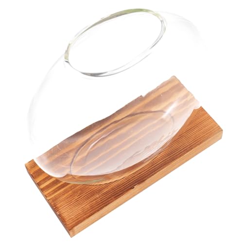HANABASS Hydroponische Pflanzenvase Aus Glas Blumenvermehrungsstation Für Die Wohnzimmerdekoration HANABASS Hydroponische Pflanzenvase Aus Glas Blumenvermehrungsstation Für Die Wohnzimmerdekoration von HANABASS