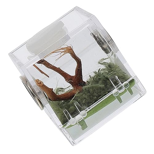 HANABASS Spinnenhabitat-Koffer – Zuchtbox Für Springspinnen Mit Schlangenhäuten Für – Reptilienkäfig Aus Acryl von HANABASS