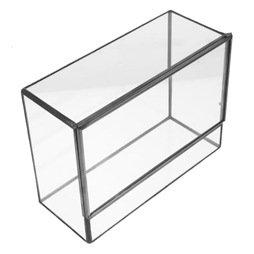HANABASS Klarer Terrarium Behälter für Miniatur Landschaften Handgefertigt Vielseitig Einsetzbar als Pflanzenhalter Dekorativer Tisch Organizer und Kreativ DIY von HANABASS
