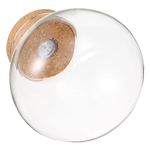 HANABASS -licht Öko-Flasche - Fischtank-landschaftsflasche Mini-aquariumflasche Landschaftsglasflasche Flasche Mit -licht Landschaftsflasche von HANABASS