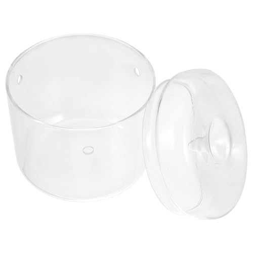 HANABASS Miniatur Terrarium Glasbehälter für Pflanzen DIY Landschaftsflasche für Kreative Dekoration für Wohnzimmer Büro und Garten Robustem Pflegeleicht und Langlebig HANABASS Miniatur Terrarium Glasbehälter für Pflanzen DIY Landschaftsflasche für Kreative Dekoration für Wohnzimmer Büro und Garten Robustem Pflegeleicht und Langlebig von HANABASS