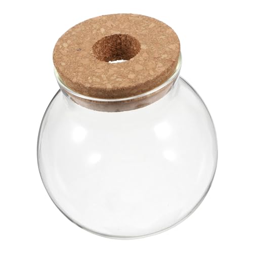 HANABASS Ökologische Mikrolandschaftsflasche Fischglasvase Aus Glas Luftpflanzen Terrarium Fischvase Hydrokulturbehälter Aus Glas Desktop-Aquarium Fischschale Mit Deckel Holz Transparent HANABASS Ökologische Mikrolandschaftsflasche Fischglasvase Aus Glas Luftpflanzen Terrarium Fischvase Hydrokulturbehälter Aus Glas Desktop-Aquarium Fischschale Mit Deckel Holz Transparent von HANABASS