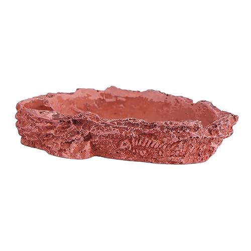 HANABASS Reptilien Futter und Wassernapf aus Resin Stabiles Design Dunkles Rot Geeignet für Echsen Geckos und Schildkröten Dekorativer Terrarienzubehör für Haustiere HANABASS Reptilien Futter und Wassernapf aus Resin Stabiles Design Dunkles Rot Geeignet für Echsen Geckos und Schildkröten Dekorativer Terrarienzubehör für Haustiere von HANABASS