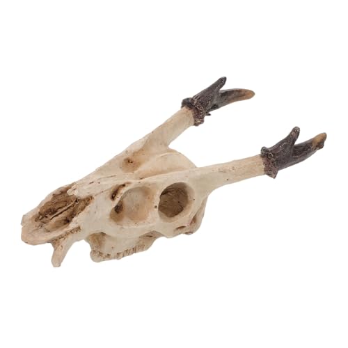 HANABASS Reptilien Versteck Schädel aus Resin Mittlere Multifunktionale Höhle für Schildkröten Schlangen Frösche und Echsen Geeignet als Terrarien Aquariumdeko Leicht zu Reinigen Sicheres HANABASS Reptilien Versteck Schädel aus Resin Mittlere Multifunktionale Höhle für Schildkröten Schlangen Frösche und Echsen Geeignet als Terrarien Aquariumdeko Leicht zu Reinigen Sicheres von HANABASS