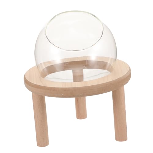 HANABASS Sandbadkasten für Hamster und Kleine Haustiere Transparentes Badezimmer mit Holzunterlage für Tägliche Pflege für Chinchillas und Rennmäuse HANABASS Sandbadkasten für Hamster und Kleine Haustiere Transparentes Badezimmer mit Holzunterlage für Tägliche Pflege für Chinchillas und Rennmäuse von HANABASS