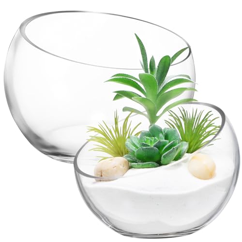 HANABASS Schräg Geschnittene Blasenschale 2 Stück Glas-Fischglas Pflanzen-Terrarium Bonbonglas Schräg Geschnittene -Vase Blumenvase Für Heimdekoration Herzstück von HANABASS