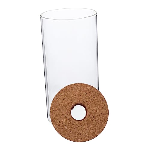 HANABASS Terrarium Behälter DIY Mikrolandschaft Flasche Zylindrische Hochborosilikat Flasche für Moos Pflanzen Dekoration für Wohnzimmer für Effektive Versiegelung HANABASS Terrarium Behälter DIY Mikrolandschaft Flasche Zylindrische Hochborosilikat Flasche für Moos Pflanzen Dekoration für Wohnzimmer für Effektive Versiegelung von HANABASS