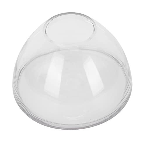 HANABASS Terrarium Container Borosilikatglas Mikrolandschaftsflasche für Raumgestaltung Höhe für Sukkulenten und Luftpflanzen Dekorative Glasvase für Innen und Außenbereich HANABASS Terrarium Container Borosilikatglas Mikrolandschaftsflasche für Raumgestaltung Höhe für Sukkulenten und Luftpflanzen Dekorative Glasvase für Innen und Außenbereich von HANABASS