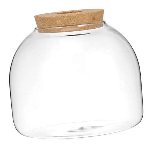 HANABASS Terrarium-Set Goldfischglas Moos-Terrarium Hydroponische Pflanzen Terrarium Mikro-Landschaftsterrarium Kleines Aquarium Oder Betta-Fisch Runde Glasvase von HANABASS