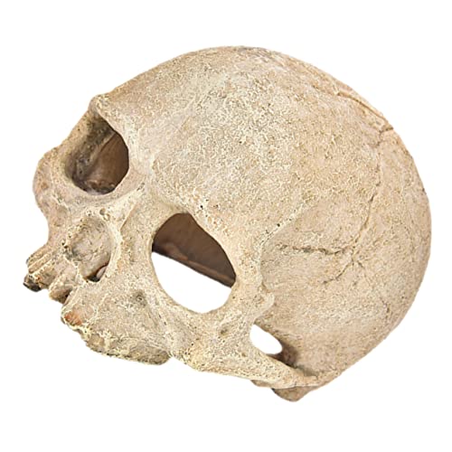 HANABASS -Ornament Für Reptilien Aquarium - Kunstharz -Modell Garnelen-versteck Aquarium-Dekoration HANABASS -Ornament Für Reptilien Aquarium - Kunstharz -Modell Garnelen-versteck Aquarium-Dekoration von HANABASS