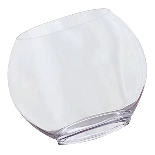 HANABASS Transparente Ökologische Flaschen Terrarium Vase Dekorativer Mikrolandschaft Behälter für Hydrokultur Pflanzen DIY Glasflaschengarten Stilvolle Desktop Pflanzendekoration von HANABASS