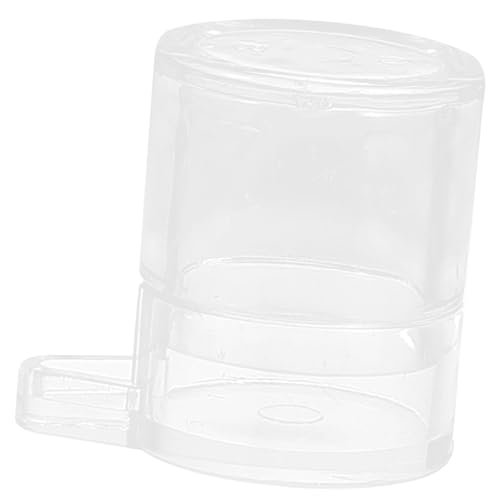 HANABASS Sichtbare Ameisenfütterungsbox Ameisen Wasserschale Formicarium Wasserzufuhr Leicht Zu Reinigen Pflege HANABASS Sichtbare Ameisenfütterungsbox Ameisen Wasserschale Formicarium Wasserzufuhr Leicht Zu Reinigen Pflege von HANABASS