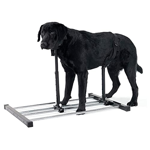 HANBOLI Edelstahlrohre, Edelstahl Hundepflegeständer mit Kragen Höhen- und Längenverstellbar Einfach zu montieren und effizient zu lagern Bad von HANBOLI