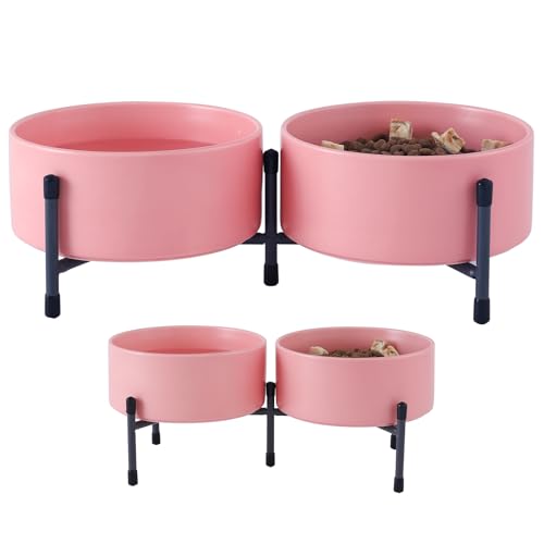 Erhöhter Hundenapf mit verstellbarem Metallständer, 15,2 cm, erhöhter Keramik-Hundenapf für Futter und Wassernapf, Doppel-Futternapf für kleine und mittelgroße Rassen, Rosa, 2 Stück Erhöhter Hundenapf mit verstellbarem Metallständer, 15,2 cm, erhöhter Keramik-Hundenapf für Futter und Wassernapf, Doppel-Futternapf für kleine und mittelgroße Rassen, Rosa, 2 Stück von HANJION